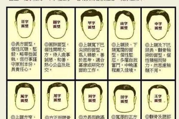 龙角面相揭秘：洞察命运之秘