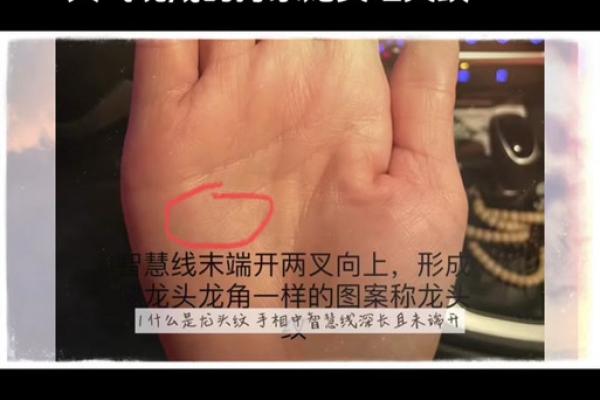 龙角面相揭秘：洞察命运之秘