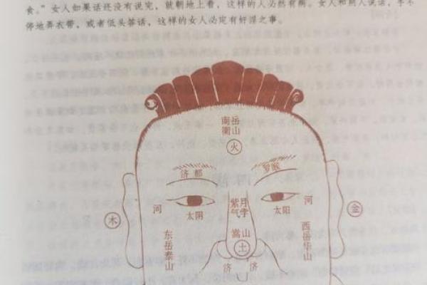 狡黠鬼魅面相解析