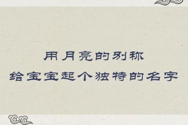 如何为生态公司选择一个独特而有意义的名字