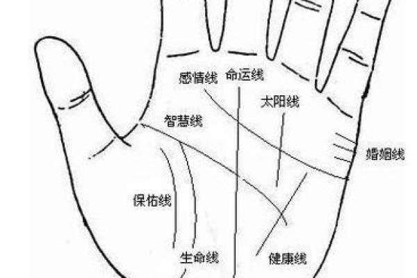一手掌握命运，手相解读你的未来走向！