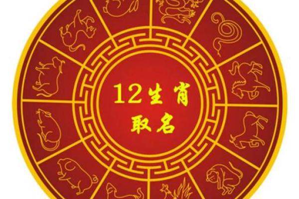 猪年宝宝取名：经典文化与现代审美融合