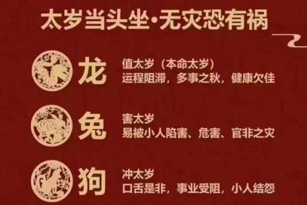 眼珠爆面，命运之光：揭秘女性面相中的神秘魅力