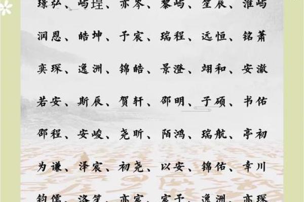 池姓男孩独特名字解析