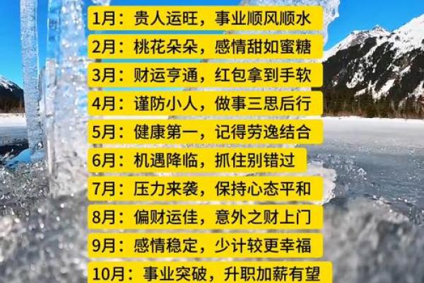 属猴人的运势起伏与应对策略