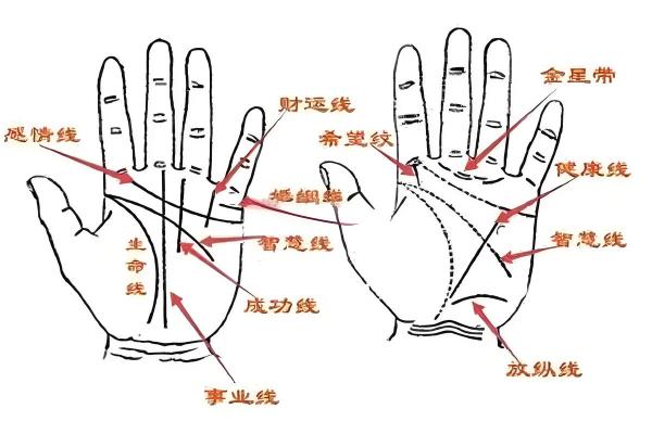 解锁运势：你的贵人手相就在这里！