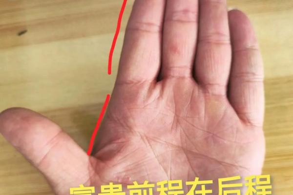手背有痣的男人，财运亨通，事业有成！