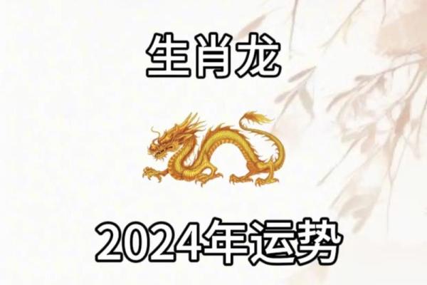 属龙人的事业与健康运势预测