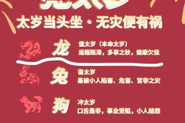 属龙人的事业与健康运势预测