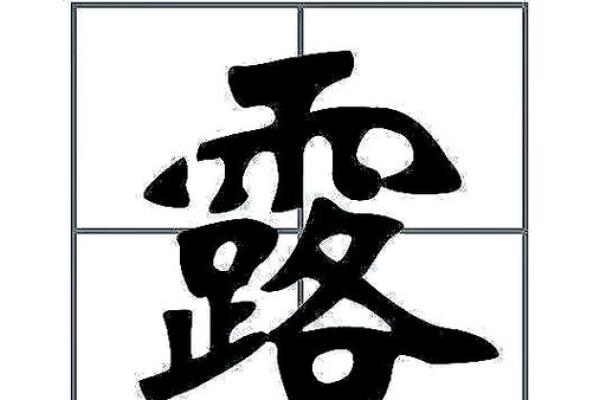 名字的力量——张子良姓名背后的寓意解枿