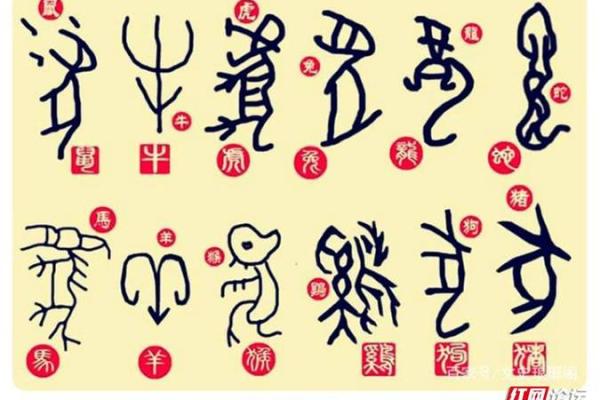 卯门风云：十二地支分野的传奇故事