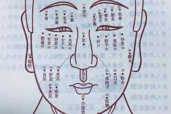 女面相腮饱满，运势旺旺福泽深