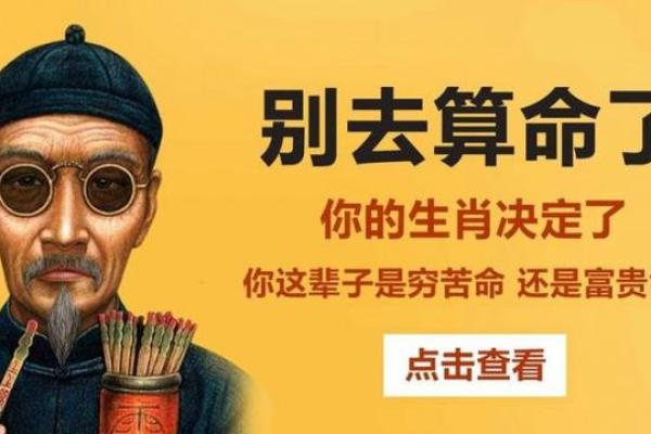 轻松解锁命运密码，免费在线七星命理算命，立即体验！