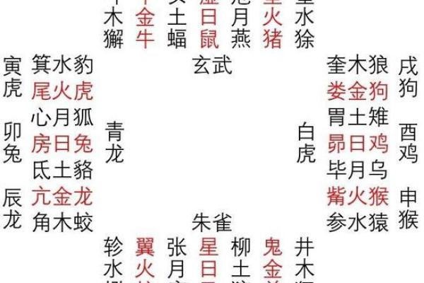 星宿映月，地支藏韵