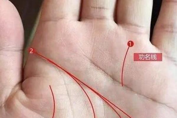 叶子纹秘语：揭秘命运线中的财富密码