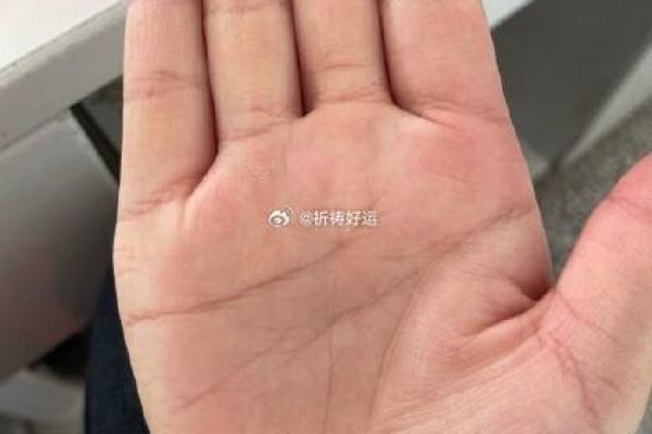 明星手相揭秘：揭秘明星们的星光之路