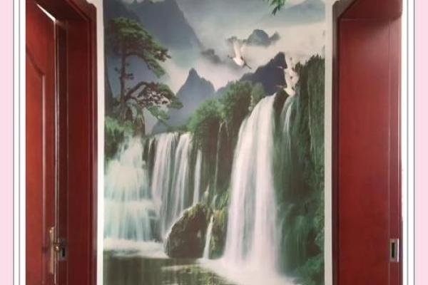 家居风水秘籍：布局招财旺运必备技巧