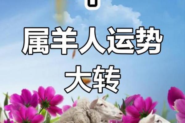 属羊人的今日运势与建议