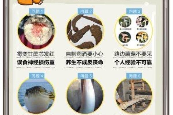 通过食品公司起名测试，提升品牌认知度