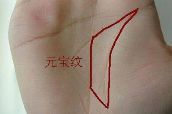 手相大师直言：李嘉诚的独特命运线，教你掌握财富之道
