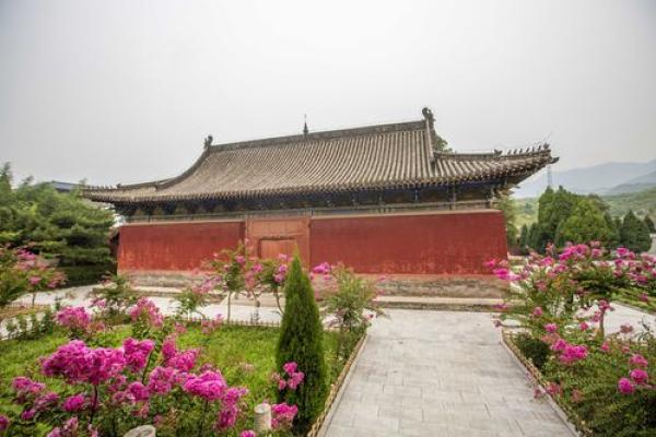 扁鹊揭秘：家居风水，让好运源源不断！