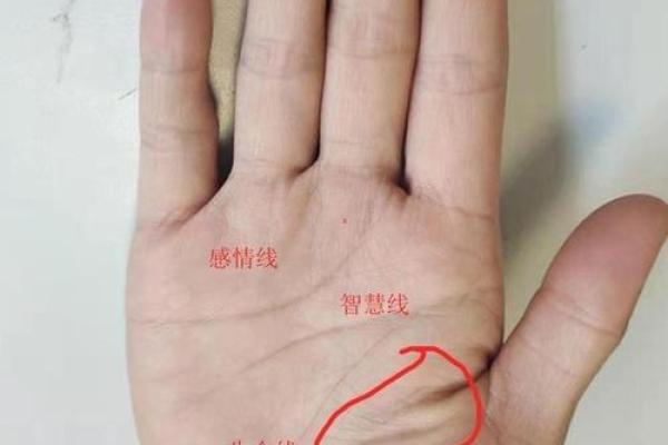 手相看婚姻：这些手相特征暗示危险婚姻，提前预警，避免悲剧！