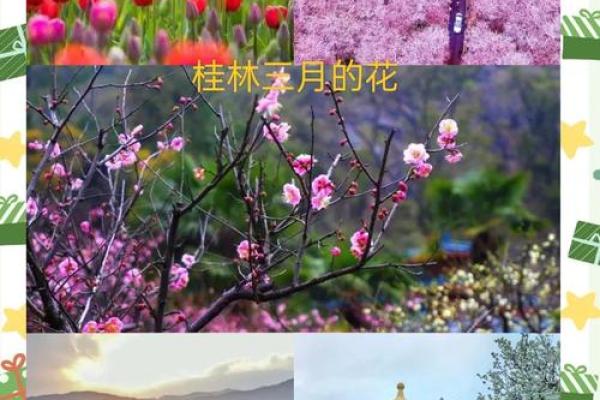 春意盎然，踏青赏花迎三月三