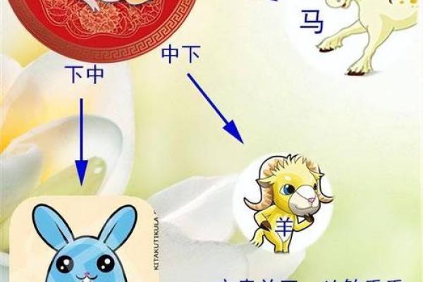 十二地支大揭秘：探寻生肖背后的文化内涵
