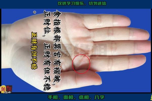 井泉涌流：一探手相中的事业巅峰之道