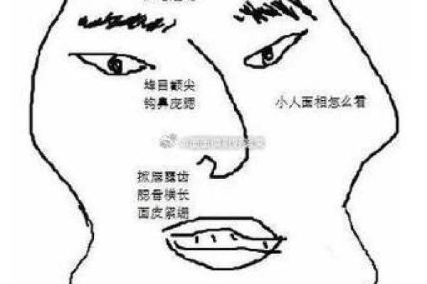 眉似柳叶，眼含狡黠——揭秘小人面相的秘密