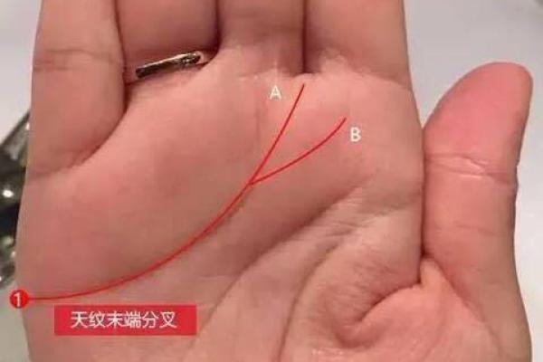 手相大师揭秘：鱼际纹预示的惊人命运