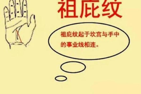 手相大师揭秘：鱼际纹预示的惊人命运