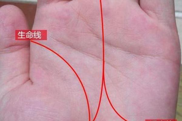 手相揭秘：青筋突起预示大富大贵！