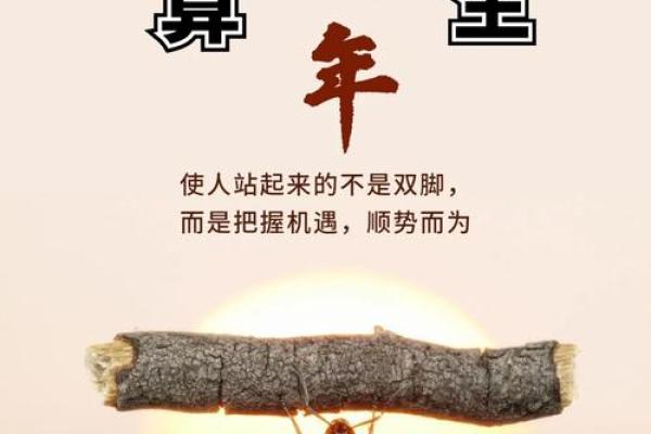 一生运势转折：揭秘改变命运的关键立极点