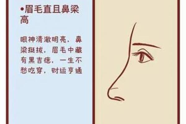 午桃花面相：运势亨通，财运亨通的秘密面相！