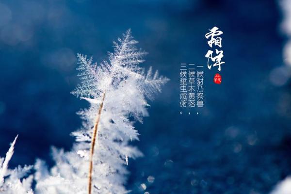 寒露霜降：古韵今风，探寻中国传统节日之美