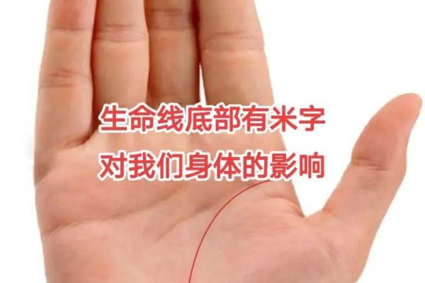 手相女字纹：揭示你的神秘魅力