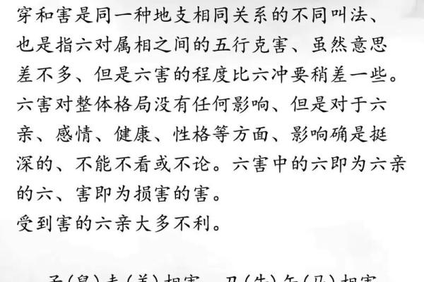 巳蛇与哪个地支合鸣，揭秘五行奥秘