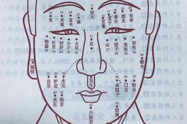 面相揭秘：五官布局中的女性私密魅力解析