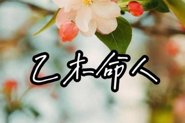 了解乙五行属性，探索乙木的深层含义