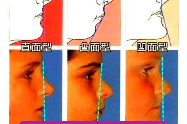 鼻塌观人生