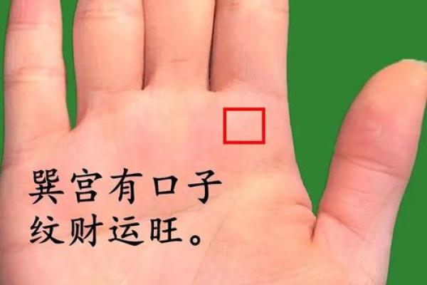 手相中龙压虎的神奇力量：揭秘财运亨通的奥秘