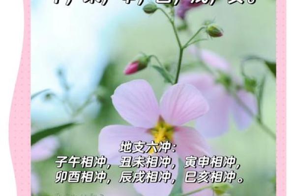地支养生秘籍：揭秘与脏腑健康的神秘联系