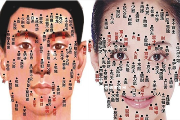 一痣解千愁，带你走进脸痣相的世界