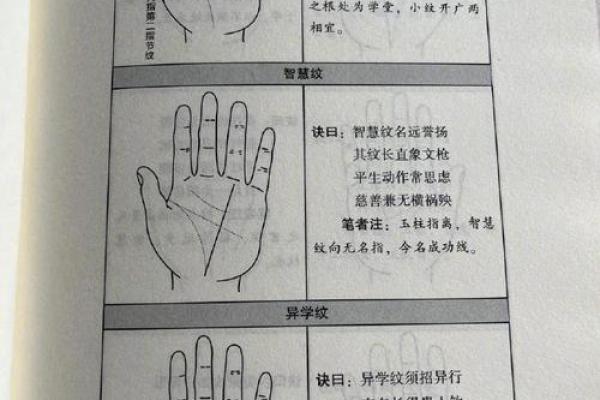 一键解锁手相奥秘，免费在线测试，你的运势如何？