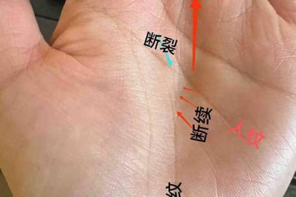 手相中的福眼：一眼洞察财运、事业运的神奇技巧