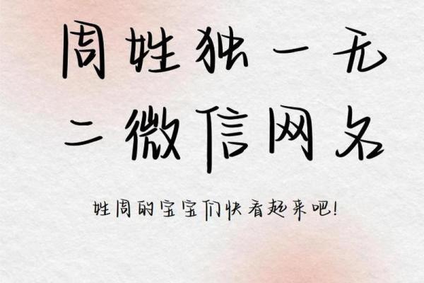 周姓满分名字：创意与个性的完美结合