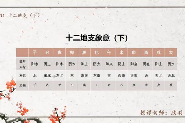 地支排行：谁才是十二地支中的佼佼者？