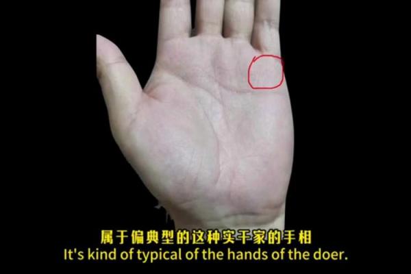 手相揭秘：小鸟纹预示着什么？