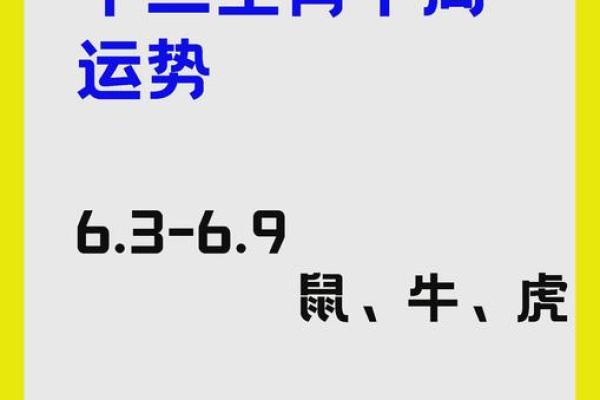 属牛运势全面解析